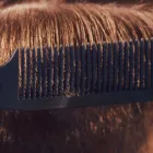 プライバシーポリシー